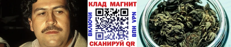 Что такое Петрозаводск Галлюциногенные грибы  МЕФ  A-PVP  ГАШ  Марихуана 