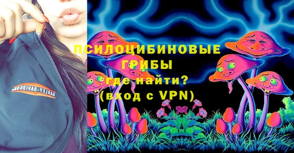 спайс Алексин