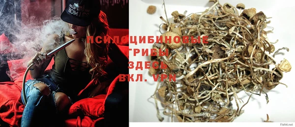 спайс Алексин