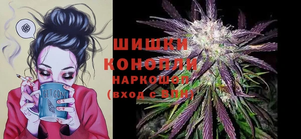 гидра Ветлуга