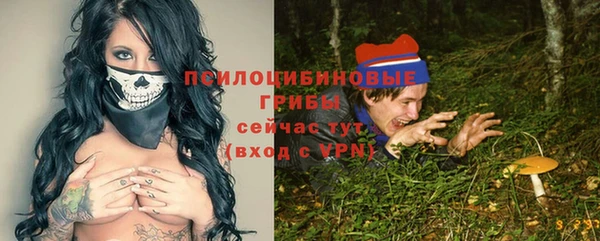твердый Алексеевка