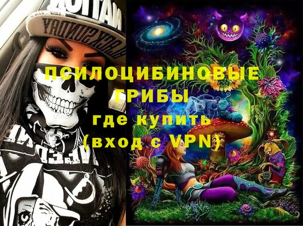 Альфа ПВП Алзамай