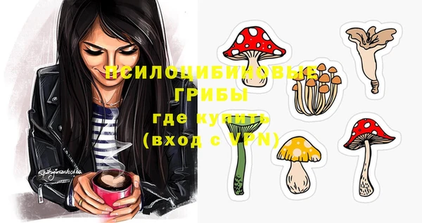 ГАЛЛЮЦИНОГЕННЫЕ ГРИБЫ Пересвет