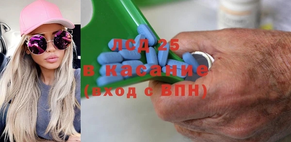 ГАЛЛЮЦИНОГЕННЫЕ ГРИБЫ Пересвет