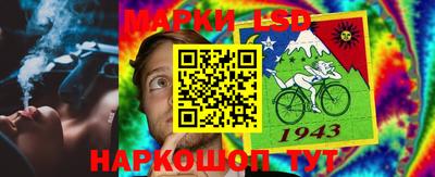 шишки Тара