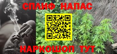 шишки Тара