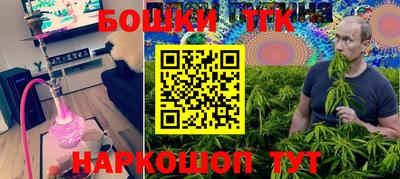 шишки Тара