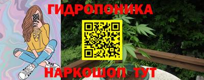 шишки Тара