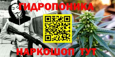 прущая мука Татарск