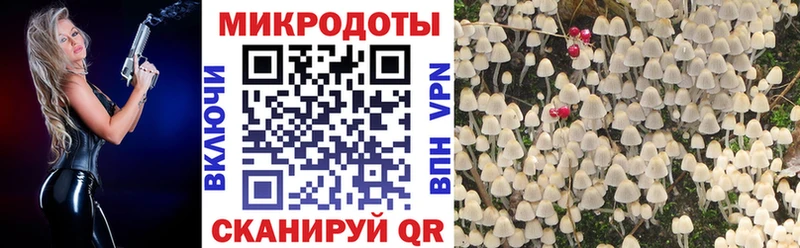Галлюциногенные грибы Magic Shrooms  Петрозаводск 